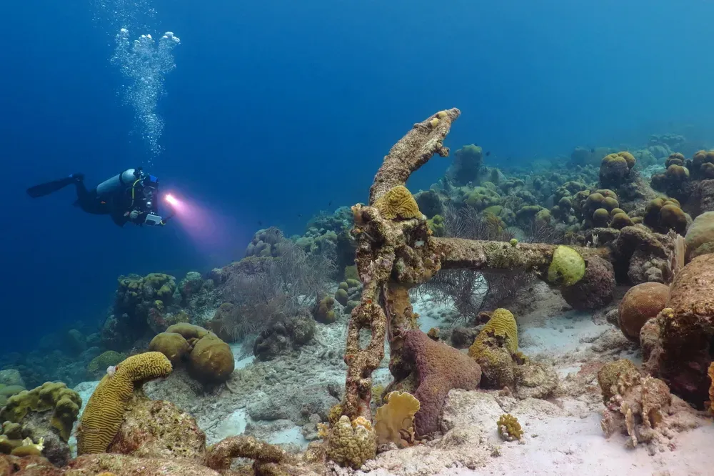 underwater diver in coral reef curacao